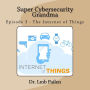 Super Cybersecurity Grandma - Episode 3 - Internet of Things: Episode 3 - Internet of Things