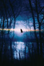 Blackbird Dead of Night Mega-Journal: 600 page Journal Diary Notebook