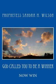 Title: God Called You To Be A Winner: Now Win, Author: Prophetess Sandra Marie Wilson