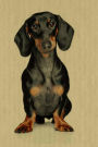 Dachshund: Artified Pets Dog Journal/Notebook/Diary