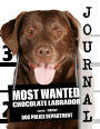 Most Wanted Chocolate Labrador Journal: Diary Notebook