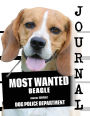 Most Wanted Beagle Journal: Diary Notebook