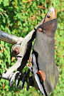 An Old Vintage Bicycle Seat Saddle Journal: A Blank Lined Journal For Writing and Note Taking