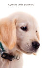 Agenda delle password: Agenda degli indirizzi web e delle password di accesso - Copertina cucciolo Golden Retriever