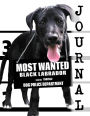 Most Wanted Black Labrador Journal: Diary Notebook