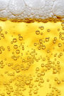 Beer Photo Humor Funny Humorous Journal: (Notebook, Diary, Blank Book)