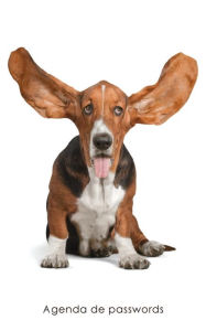 Title: Agenda de passwords: Agenda para endereï¿½os electrï¿½nicos e passwords - Capa Basset, Author: Coisas Realmente ïteis