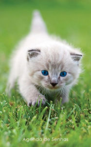 Title: Agenda de Senhas: Agenda para endereï¿½os eletrï¿½nicos e senhas: Capa gatinho de olhos azuis - Portuguï¿½s (Brasil), Author: Agendas E Cadernos