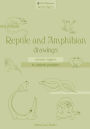 Reptile and Amphibian Drawings: creative figures in various postures