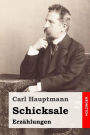 Schicksale: Erzählungen