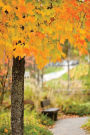 Journal Autumn Scene: (Notebook, Diary, Blank Book)