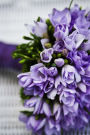 Beautiful Bouquet of Purple Flowers Journal: 150 Page Lined Notebook/Diary