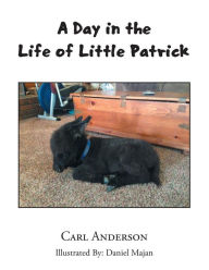 Title: A Day in the Life of Little Patrick, Author: Carl Anderson