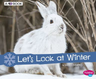Title: Let's Look at Winter: A 4D Book, Author: Sarah L. Schuette