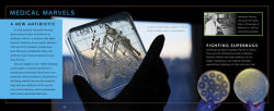 Alternative view 2 of Planet Earth Discoveries