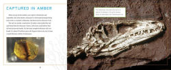Alternative view 3 of Planet Earth Discoveries