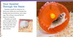 Alternative view 3 of Caring for Hamsters: A 4D Book