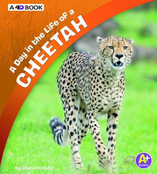 A Day in the Life of a Cheetah: A 4D Book