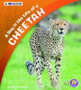 A Day in the Life of a Cheetah: A 4D Book