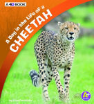 Alternative view 1 of A Day in the Life of a Cheetah: A 4D Book