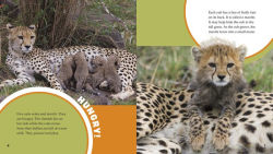 Alternative view 2 of A Day in the Life of a Cheetah: A 4D Book