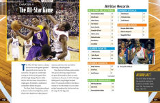 Alternative view 4 of Pro Basketball Records: A Guide for Every Fan