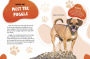 Alternative view 3 of Puggle: Pugs Meet Beagles!