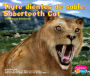 Tigre dientes de sable/Sabertooth Cat