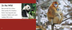 Alternative view 5 of Let's Look at China