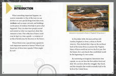 Alternative view 2 of A Jamestown Colony Time Capsule: Artifacts of the Early American Colony