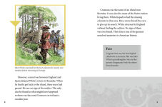 Alternative view 4 of A Jamestown Colony Time Capsule: Artifacts of the Early American Colony