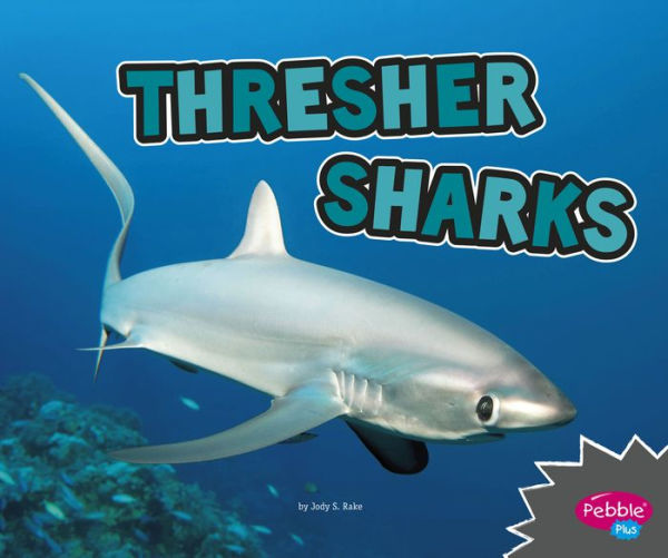 Thresher Sharks: A 4D Book