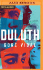 Duluth: A Novel