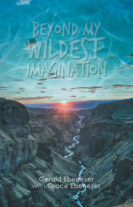 Title: Beyond My Wildest Imagination, Author: Gerald Ebenezer