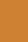 Journal Bronze Color Simple Plain Bronze: (Notebook, Diary, Blank