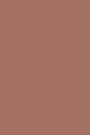 Journal Bronze Tone Color Simple Plain Bronze Tone: (Notebook, Diary, Blank Book)