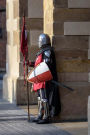 A Knight in Armor with a Shield and Ax Warrior Vassal Journal: 150 Page Lined Notebook/Diary