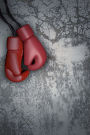 Red Boxing Gloves Sports and Recreation Journal: 150 Page Lined Notebook/Diary