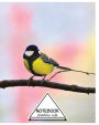 Notebook Journal Dot-Grid,Graph,Lined: Finch Bird: Pocket Notebook Journal Diary, 120 pages, 8