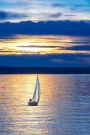 A Sailboat on the Water at Sunset Journal: 150 Page Lined Notebook/Diary