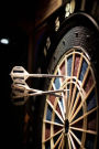 How About a Game of Darts Game Journal: 150 Page Lined Notebook/Diary