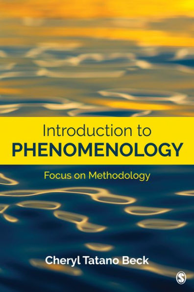 Introduction to Phenomenology: Focus on Methodology / Edition 1