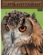 Hawk: Coloring Book Vol.1: A Coloring Book Containing 30 Hawk Designs in a Variety of Styles to Help you Relax
