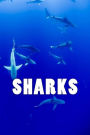 Sharks (journal / notebook)