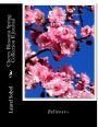 Cherry Blossoms Spring Collection II Journal