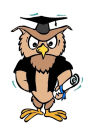 Graduation Journal Wise Owl Cap Diploma: (Notebook, Diary, Blank Book)