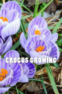 Crocus Growing: 150 page lined notebook