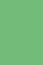 Journal Fern Color Simple Plain Fern: (Notebook, Diary, Blank Book)