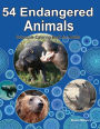 54 Endangered Animals Grayscale Coloring Book for Adults: Color wildlife's endangered animals as seen in their natural habitat