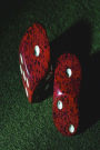 Casino Journal Lucky Dice Snake Eyes Double Ones: (Notebook, Diary, Blank Book)